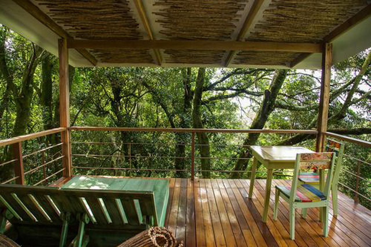 Chayote Lodge Zarcero 외부 사진