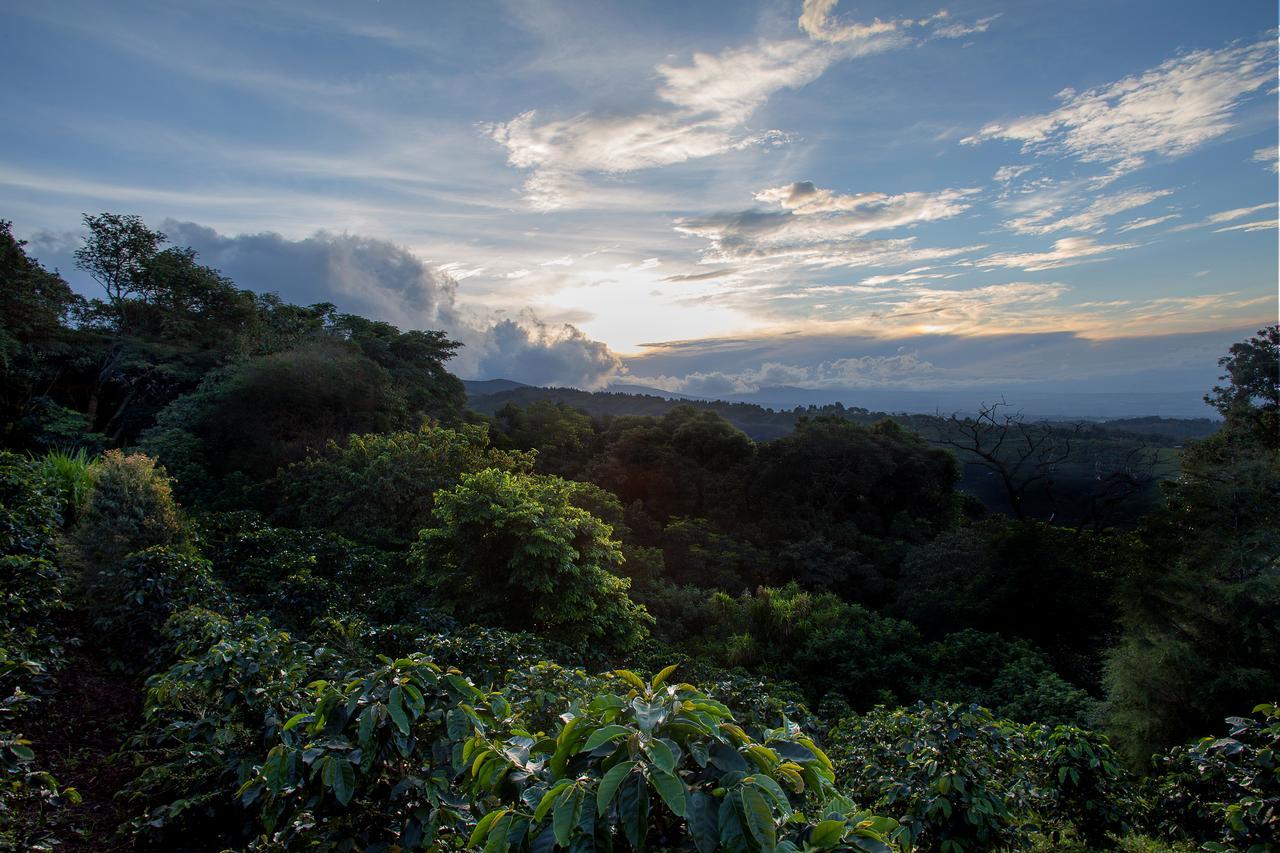 Chayote Lodge Zarcero 외부 사진